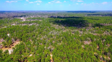 7137 W Sunmar Sample Ln, Dunnellon, FL 34433 - photo 6