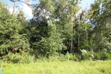 VIEW OF APPROXIMATE LOCATION OF LOT 10