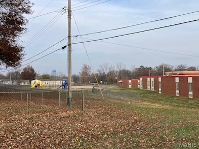 318 Davis Ct, Park Hills, MO 63601 - photo 7