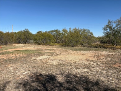 917 S Interstate Highway 20 Hwy, Trent, TX 79561 - photo 4