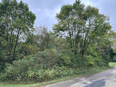 0 Mt Zion Rd, Connersville, IN 47331 - photo 5