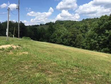 12361 Mowery Lehman Rd, Logan, OH 43138 - photo 2