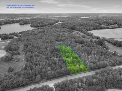 Lot 9 26th St, Chetek, WI 54728 - photo 2
