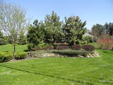 Other Gateway to Springbrook Shores - surrounded b