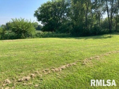 3829 229th Street Cir N, Port Byron, IL 61275 - photo 6