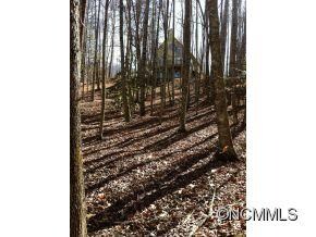 looking up from woods