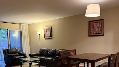 6961 N Oakley Ave unit 206, Chicago, IL 60645 - photo 6