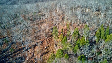 0 Lancaster Rd, Branchville, IN 47514 - photo 3