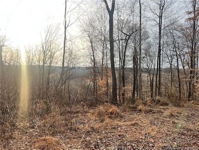 0 Hwy 135 unit Tract 2 2025011289, New Salisbury, IN 47161 - photo 4