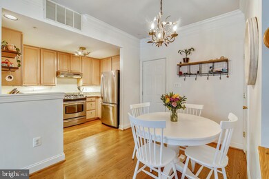 164 Chevy Chase St, Gaithersburg, MD 20878 - photo 4