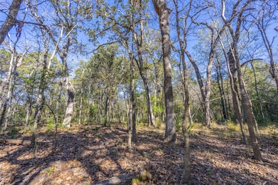 00 County Road 163, Elkhart, TX 75839 - photo 4