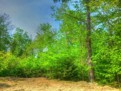 Spring Scene 2