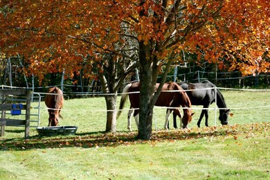 The seasons at the home are lovely...