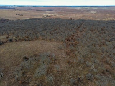 Tbd Tract 9 County Road 2145, Bartlesville, OK 74003 - photo 7