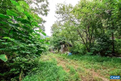 8024 Tabletop Mountain Rd, Dyke, VA 22935 - photo 6