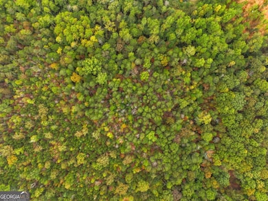 6418 Dawsonville Hwy, Dahlonega, GA 30533 - photo 5