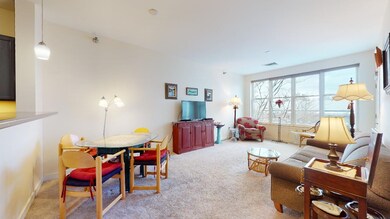 370 Farrell St unit 308, South Burlington, VT 05403 - photo 5