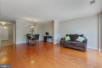 4023 Chesterwood Dr, Silver Spring, MD 20906 - photo 7