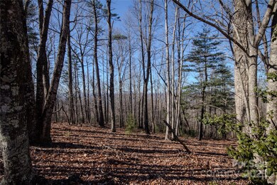 2212 Nighthawk Ridge Ct unit 29, Lenoir, NC 28645 - photo 3