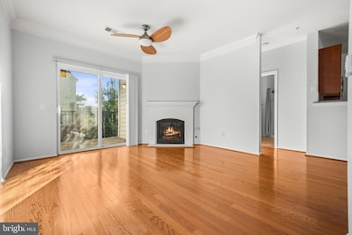 1570 Spring Gate Dr unit 7213, McLean, VA 22102 - photo 4