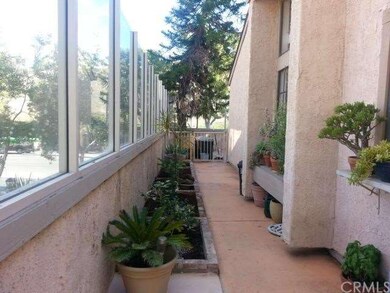 Sideyard with planter boxes 