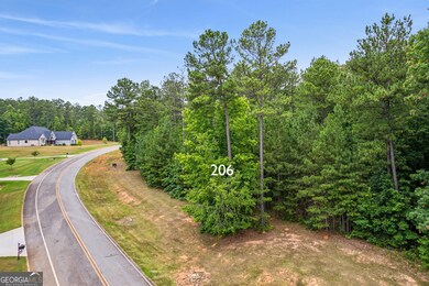 206 Crescent Dr, Forsyth, GA 31029 - photo 6