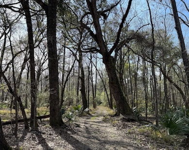 0 Dressen Rd unit 22893184, Hardeeville, SC 29927 - photo 6