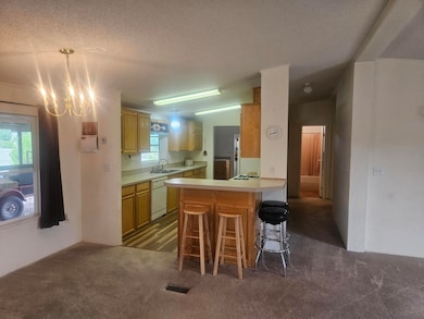 17 Jackass Ln, Datil, NM 87821 - photo 4