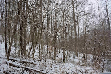 To Be Determine Sand Fork Rd, Roanoke, WV 26447 - photo 3