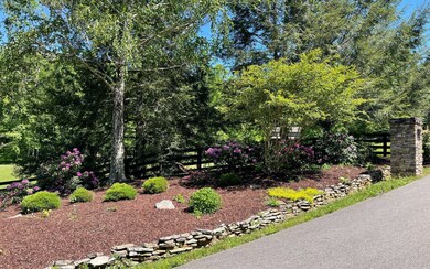 Additional View