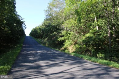 0 Sulphur Spring Rd unit VAWR2008974, Middletown, VA 22645 - photo 4