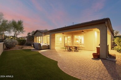 Backyard I