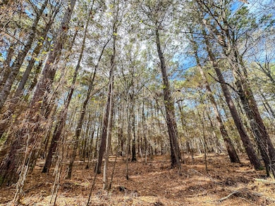 00 Cr 2237, Bagwell, TX 75426 - photo 7