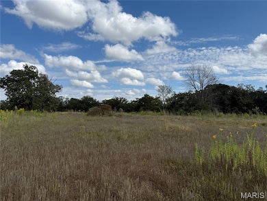 View of undeveloped land