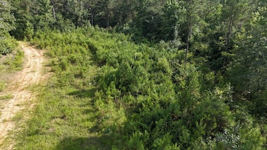 + - 79 Acres unit Leake County MS, Carthage, MS 39051 - photo 5