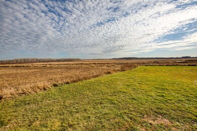 16818 Hwy 95 Foley (6 of 26).jpg