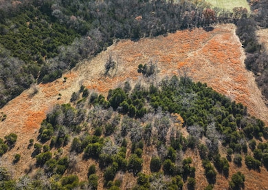 DJI_20241116120543_0526_D