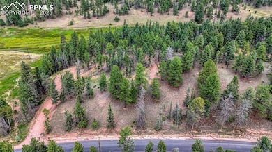 18 Falcon Cir, Florissant, CO 80816 - photo 2