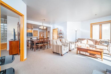 71 E Needles Rd unit 331, Durango, CO 81301 - photo 3