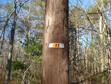 3 Pine St, Middleboro, MA 02346 - photo 4