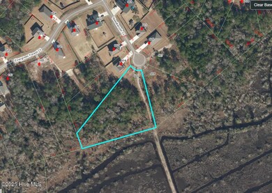 606 Needlerush Rd, Sneads Ferry, NC 28460 - photo 6