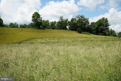 Rt 2/2 Sandy Ridge Rd, Franklin, WV 26802 - photo 7