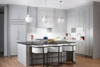 195 N Addison Ave unit 504, Elmhurst, IL 60126 - photo 4