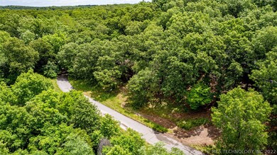 181 Tomhawk Ln, Spavinaw, OK 74366 - photo 6