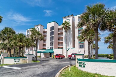 Royal Palm -018
