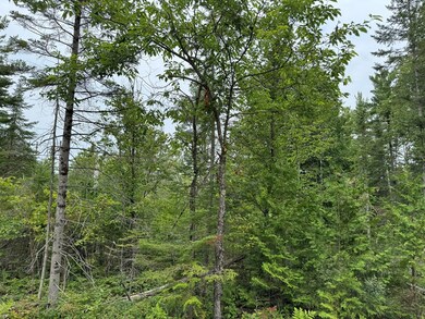 0 Europe Bay Rd unit 144452, Liberty Grove, WI 54210 - photo 6