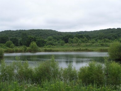 39 Lot 39 Phase 2 Field & Stream, Dixon, MO 65459 - photo 4