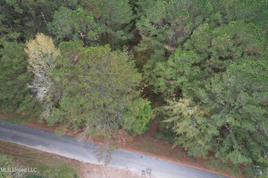 DJI_0858