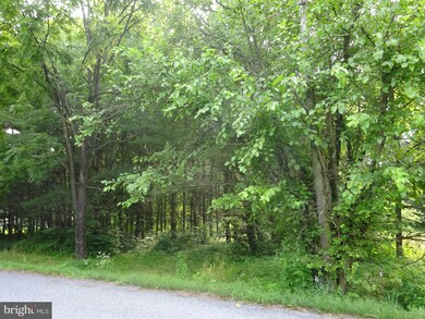 0 Lake Front Dr, Orwigsburg, PA 17961 - photo 6