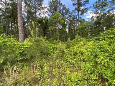 Lots Lott 19 & 20, Bainbridge, GA 39817 - photo 5